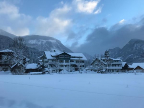 De Jutter Edelweiss, Gosau, Österreich